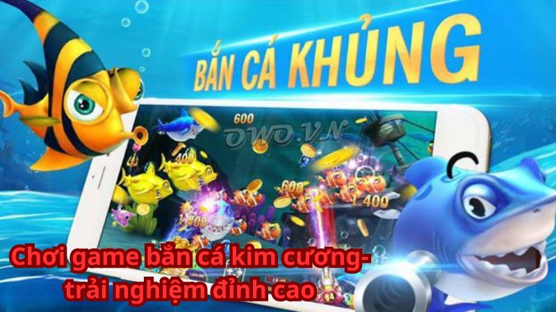 ban ca kim cuong 3