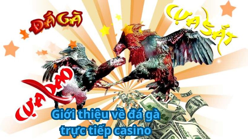 da ga truc tiep casino 1