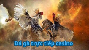 da ga truc tiep casino