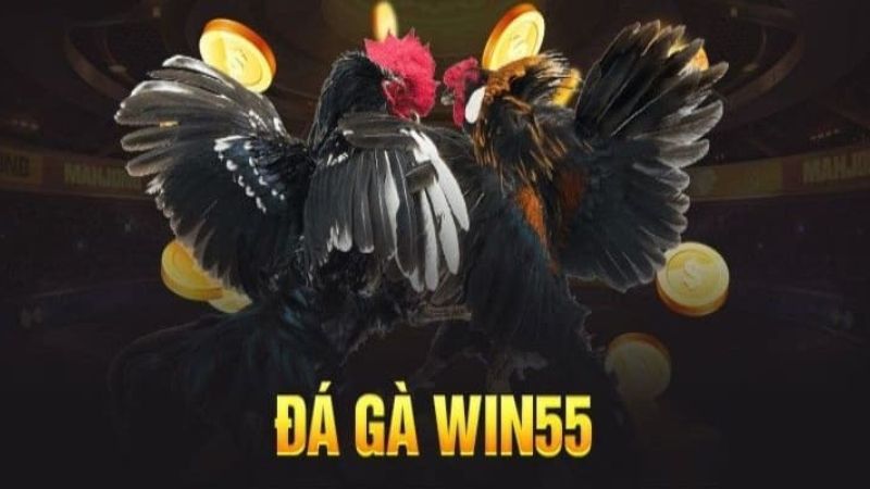 da ga win55