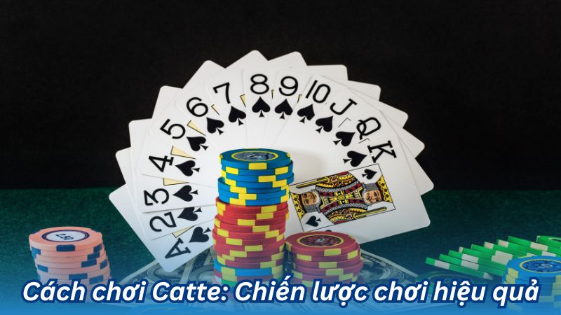 cach-choi-catte:-chien-luoc-choi-hieu-qua